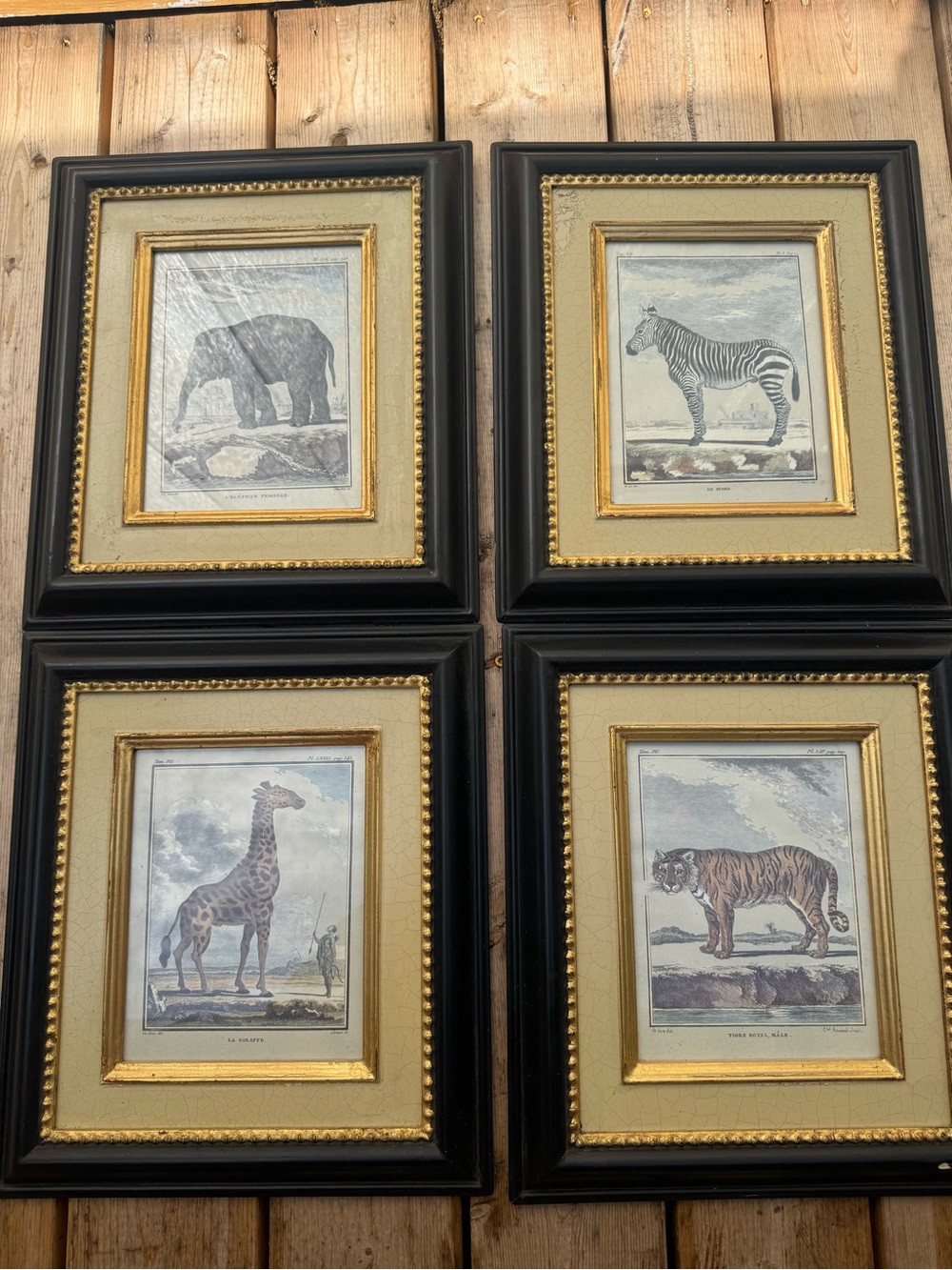 Set of 4 Framed Vintage Animal Prints - Black & Gold Frames